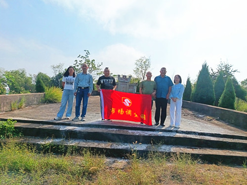 2025年10月4日 湖南省娄底市双峰县花门镇大托村的衡宝战役烈士墓37人1_副本.jpg